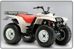 Thumbnail 1987-1996 Yamaha BIG BEAR 350 4x4 and 1997 SE Service Manual and ATV Owners Manual - Workshop Repair Download