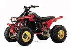Thumbnail 1992-2004 Yamaha WARRIOR 350  Service Manual and ATV Owners Manual - Workshop Repair Download