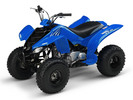 Thumbnail 2002-2008 Yamaha RAPTOR 80 Service Manual and ATV Owners Manual - Workshop Repair Download Thumbnail 2002-2008 Yamaha RAPTOR 80 Service Manual and ATV Owners Manual - Workshop Repair Download