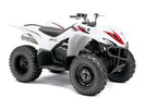 Thumbnail 2006-2010 Yamaha WOLVERINE 450 4x4 Service Manual and ATV Owners Manual - Workshop Repair Download
