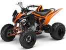 Thumbnail 2008 Yamaha Raptor 250 Service Manual and ATV Owners Manual - Workshop Repair Download