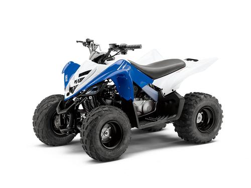 Product picture 2010 Yamaha RAPTOR 90 Service Manual and ATV Owners Manual - Workshop Repair Download